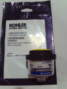 Pressure Indicator - 230050844