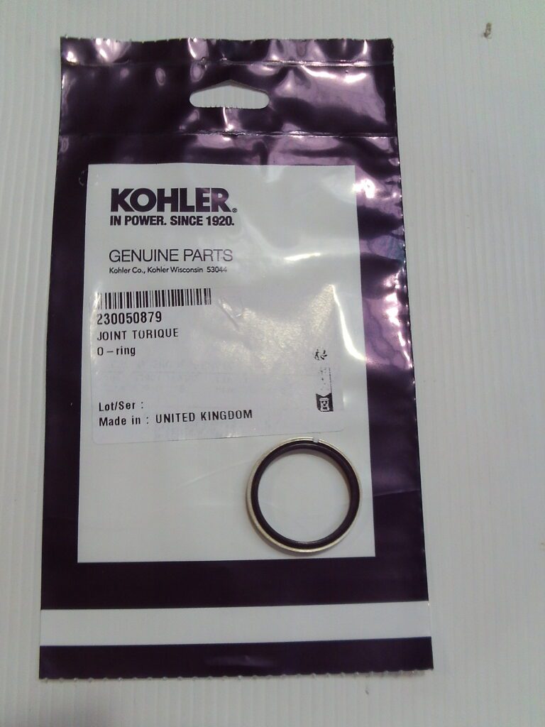 O Ring – 230050879