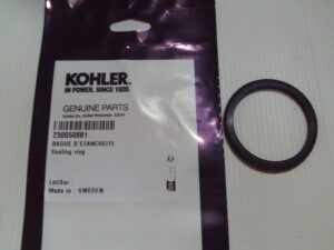 Sealing Ring - 230050881