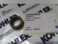 Sealing Ring - 230052213