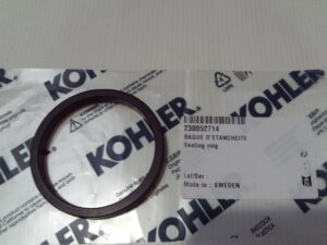 Sealing Ring - 230052714