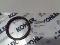 Sealing Ring - 230052714