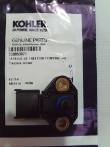 Pressure Sensor - 230053071