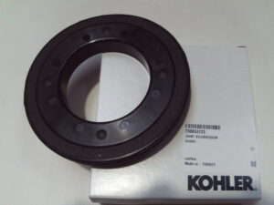 Gasket - 230053123