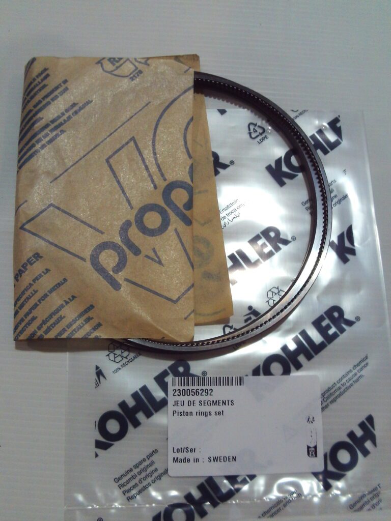 Piston Rings Set – 230056292