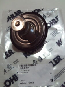 Thermostat - 230181287