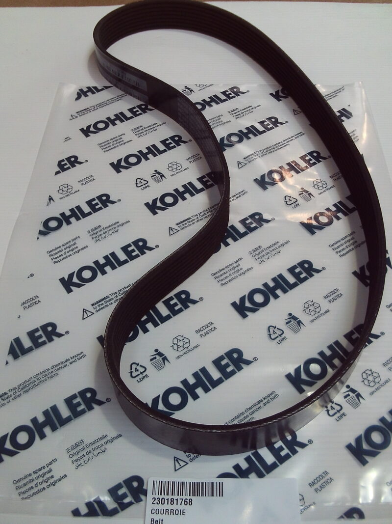 Belt - 230181768